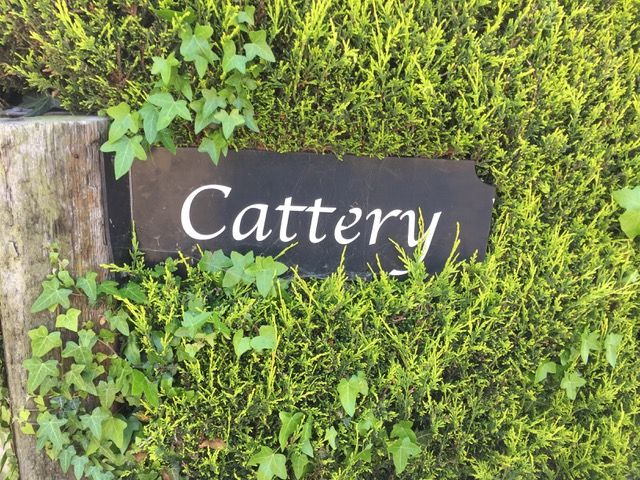 Cattery in Warwickshire